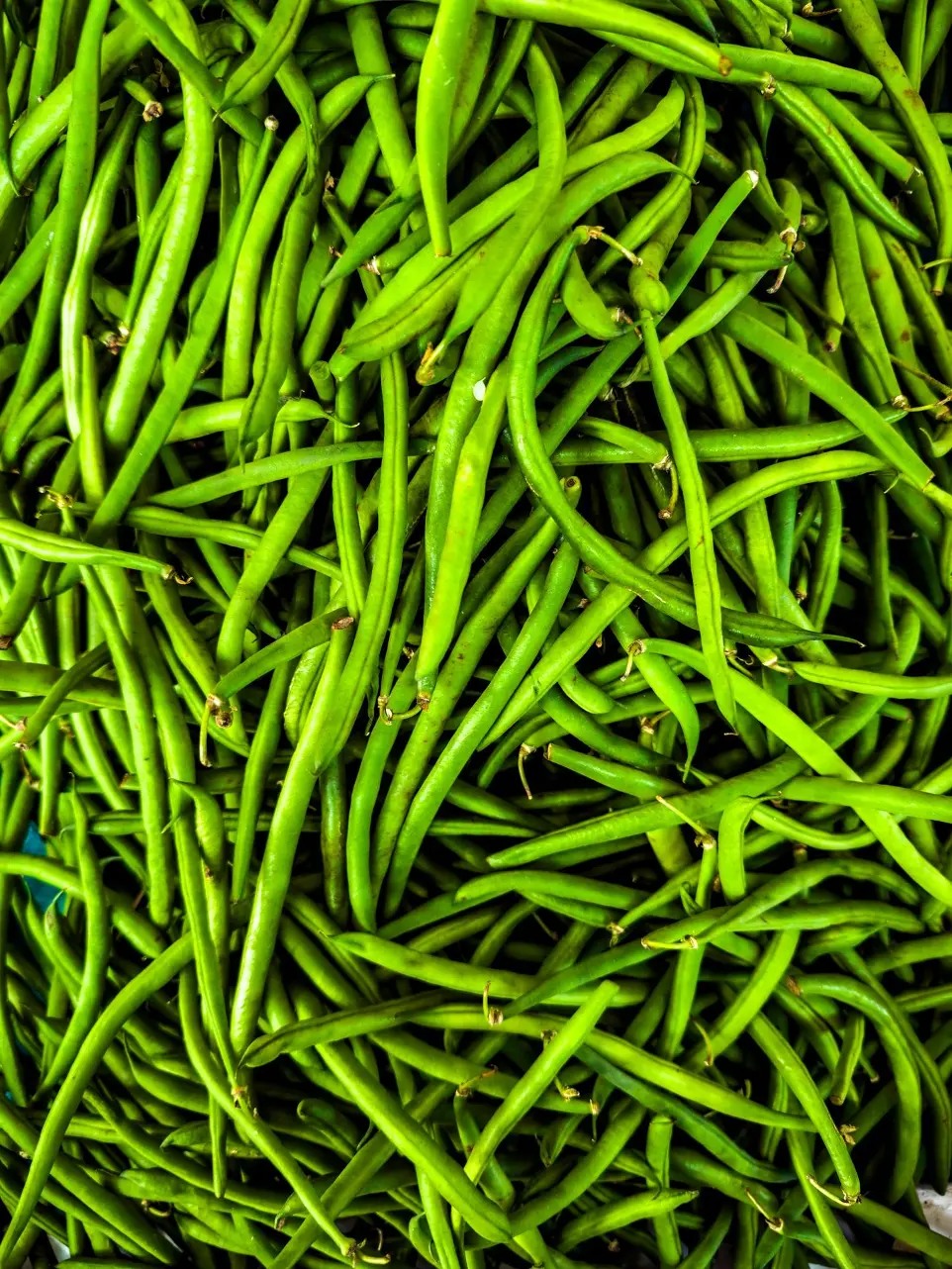 A pile of green beans sitting next to each other
