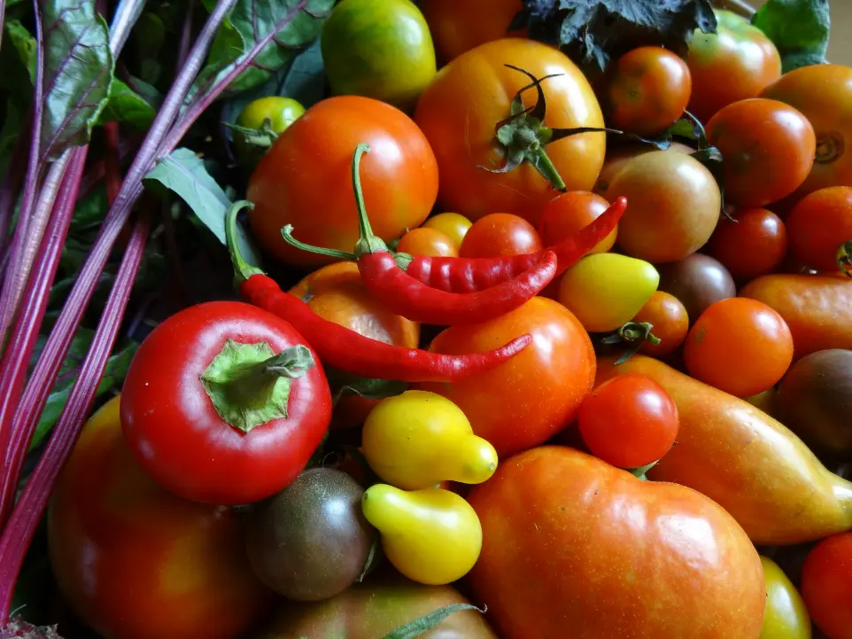 a pile of different types of fruits and vegetables